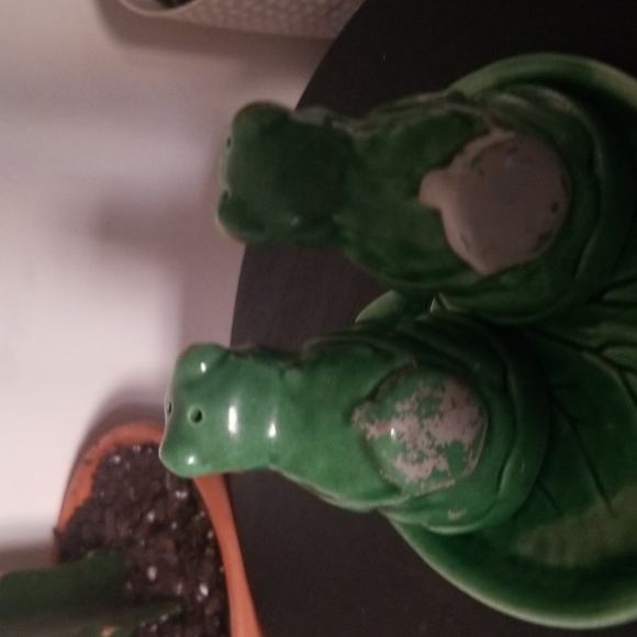 Adorable Frog Salt and Pepper Shakers - Picture 3 of 4